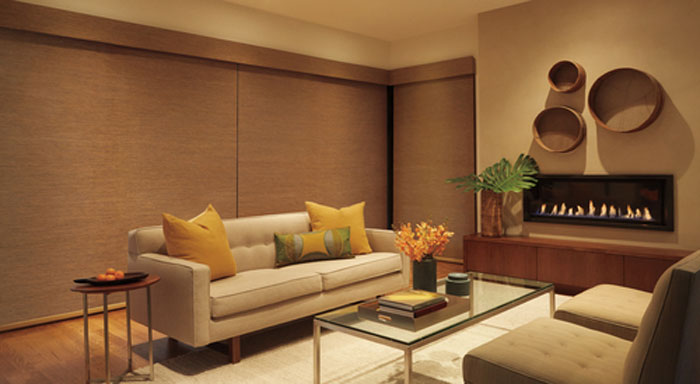 Hunter Douglas Designer Roller Shade with fabric Valance