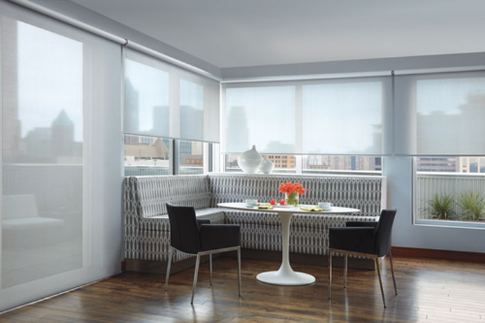 Hunter Douglas Designer Screen Shade