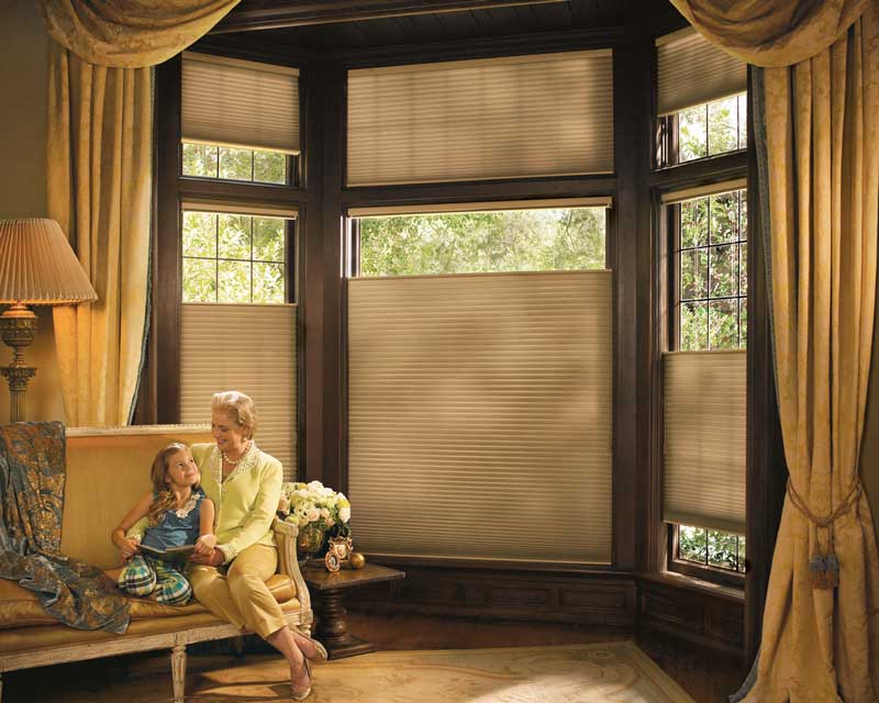 photo of Hunter Douglas Duette® Architella(r) Honeycomb Shades