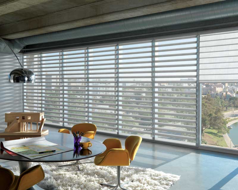 Hunter Douglas Pirouette(r) window shadings