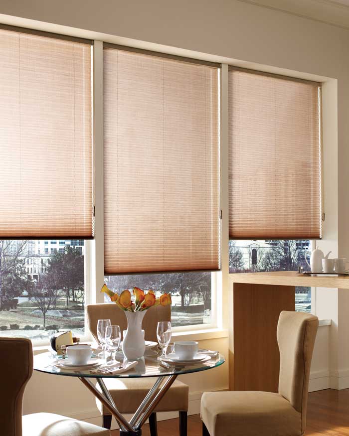 Hunter Douglas Pleated Shades with EasyRise(r)